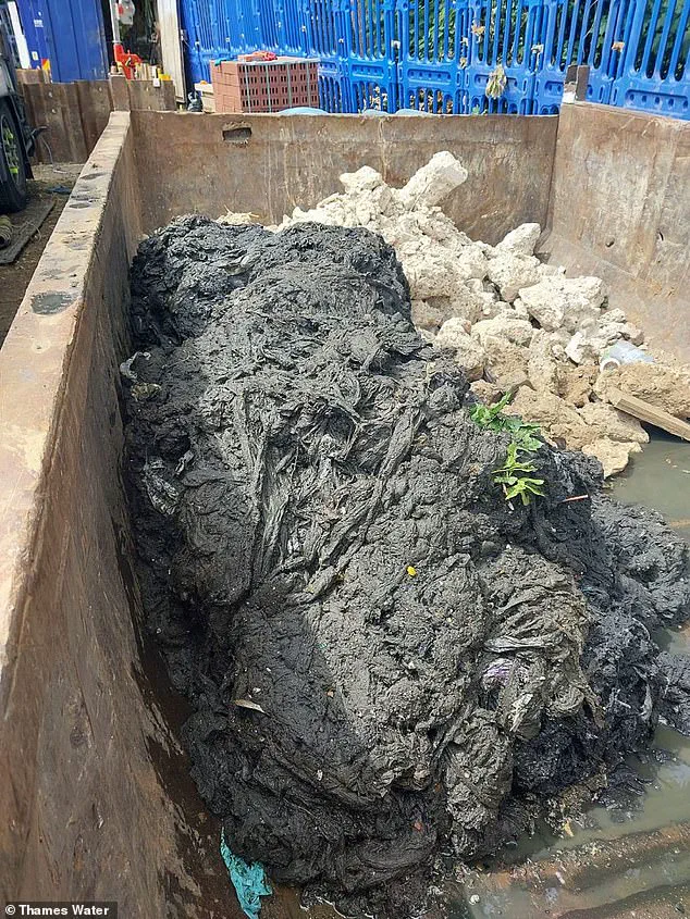 11 Surprising Items That Can Clog Pipes and Harm the Environment