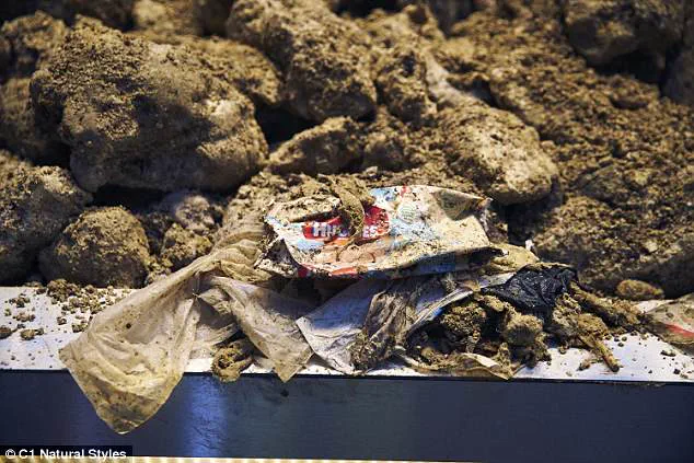11 Surprising Items That Can Clog Pipes and Harm the Environment