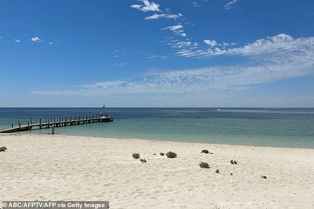 13-Year-Old Hero Swims 4km to Save Family After Being Swept Out to Sea
