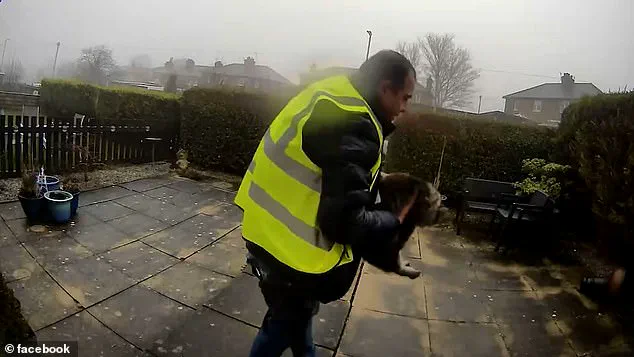 Amazon Delivery Driver Allegedly Steals Cat from West Yorkshire Home, Sparking Public Outcry