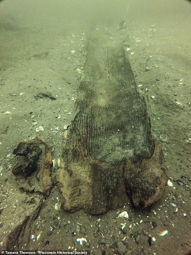 Ancient Canoes in Wisconsin Predate the Great Pyramid, Reshaping North American History: 'This Changes Everything,' Says Lead Archaeologist