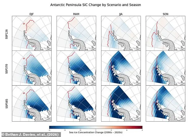 Antarctica's Ice Could Shrink by 20% by 2100, Study Warns of Global Consequences