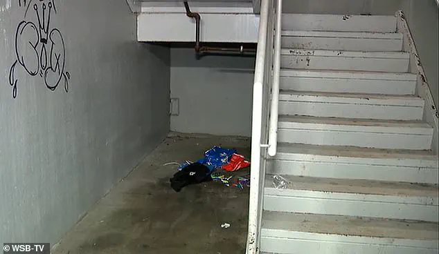 Atlanta Community in Shock After Brutal Dog Abuse Incident Sparks Citywide Manhunt
