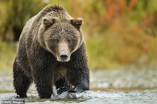 BioScience Study Reveals Teddy Bears May Distort Children's Understanding of Nature