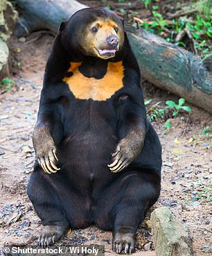 BioScience Study Reveals Teddy Bears May Distort Children's Understanding of Nature
