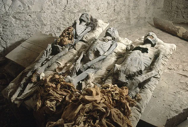 Breaking: Dr. Zahi Hawass Hints at Major Discovery in Decades-Old Quest for Queen Nefertiti's Tomb