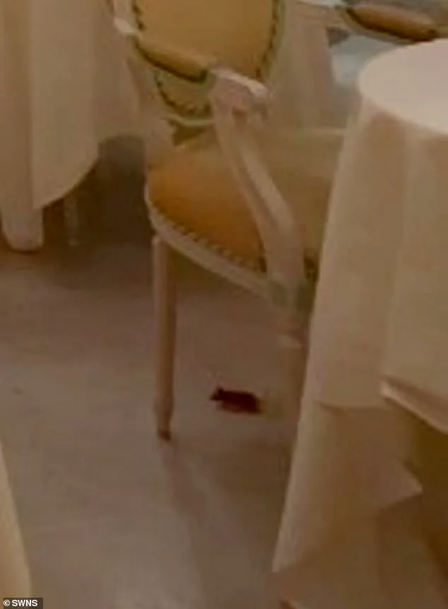 Breaking: Luxury Hotel in Crisis as Mouse Incident Shakes Ritz London on January 11