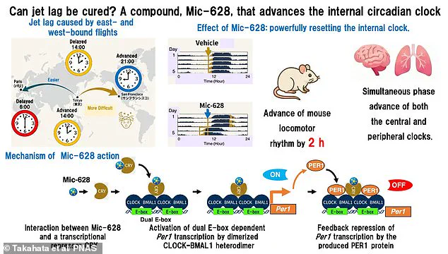 Breakthrough Drug Mic-628 Could Reset Body Clock and End Jet Lag Struggle, Scientists Say