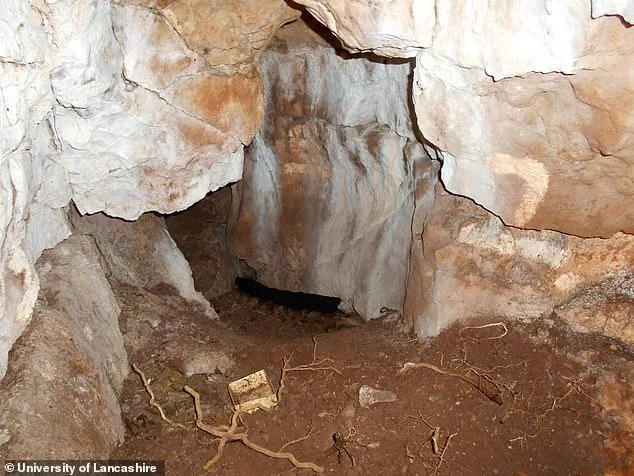 Britain's 'Oldest Northerner' Revealed as 3-Year-Old Girl in Groundbreaking DNA Study