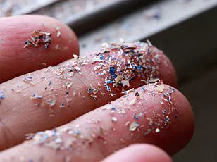 Britain's Woodlands Under Siege: Airborne Microplastics Threaten Pristine Sanctuaries