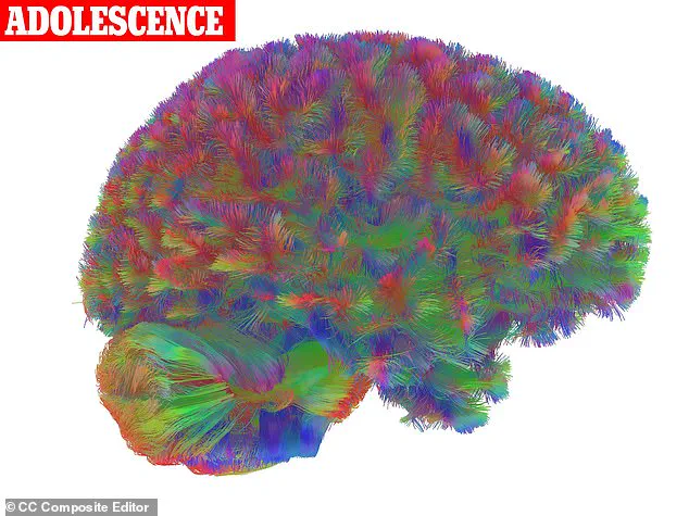 Cambridge Researchers Identify Five Key Stages in Brain Development, Challenging Existing Assumptions