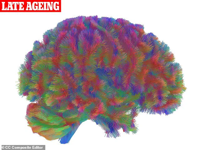 Cambridge Researchers Identify Five Key Stages in Brain Development, Challenging Existing Assumptions