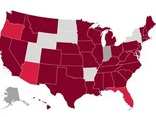CDC Reports Record Surge in Flu Cases and Hospitalizations as Virus Season Intensifies