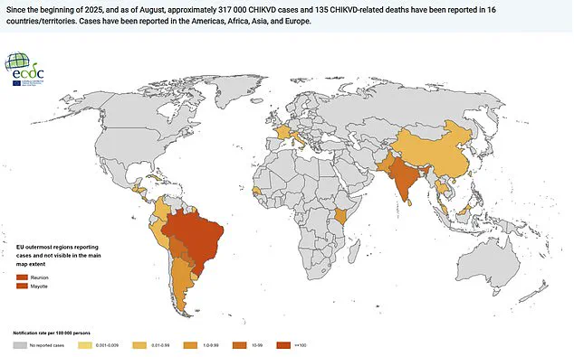 Chikungunya Virus Confirmed in New York, Raising Public Health Concerns After Cross-Atlantic Spread