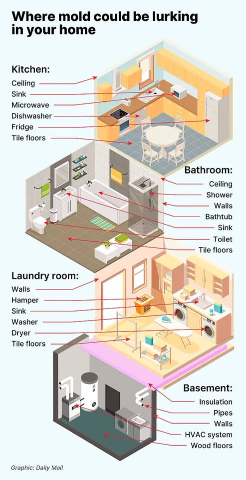 Childhood Exposure to Toxic Mould Linked to Long-Term Lung Damage, Study Finds