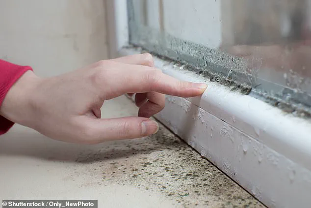 Childhood Exposure to Toxic Mould Linked to Long-Term Lung Damage, Study Finds