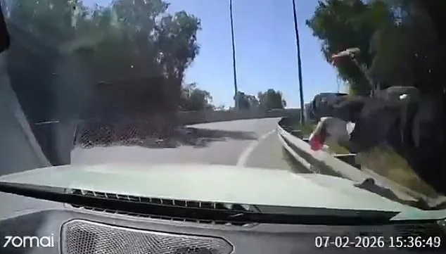 Chilean Motorist's Courageous Stand Against Armed Robber on Highway Sparks Nationwide Dialogue