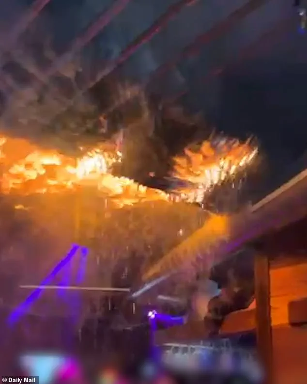 Cyane Panine, Waitress in Footage Before Swiss Nightclub Fire, Dies in Tragedy