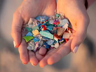 Disposable Face Masks Spark Environmental and Health Concerns as Study Reveals Microplastic Risks
