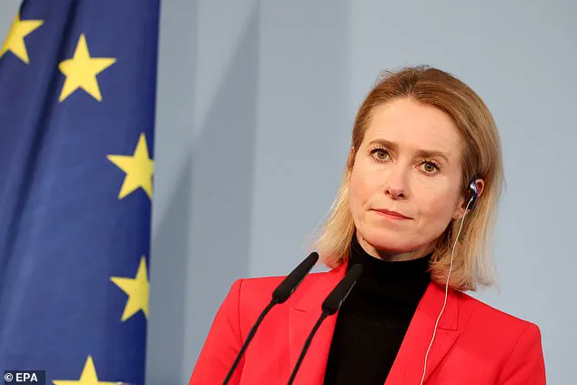 EU's Kallas Quips 'Good Moment to Start Drinking' Amid Global Crises