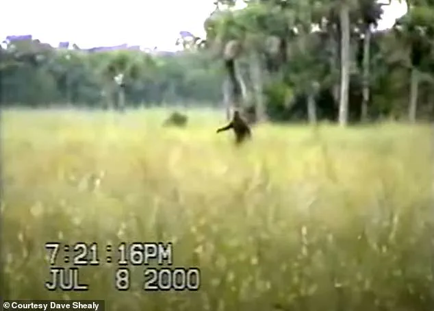 Exclusive: Dave Shealy's Lifelong Pursuit of the Skunk Ape's Hidden Truth