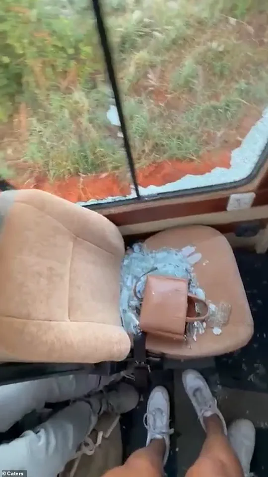 Exclusive Footage Captures Elephant's Sudden Threat to British Tourists in Serengeti