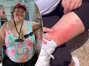 Father Injured in Disneyland Altercation Over Line-Cutting Dispute
