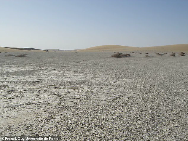 Fossil Evidence Pushes Back Origin of Upright Walking to 7 Million Years Ago, Redefining Human Evolution