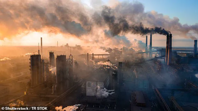 Global CO2 Levels Reach Record High in 2024, WMO Reports
