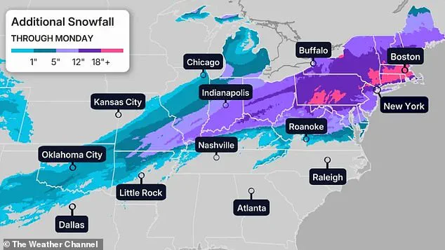Government Directives in Response to Winter Storm Fern: Managing Crisis and Public Safety