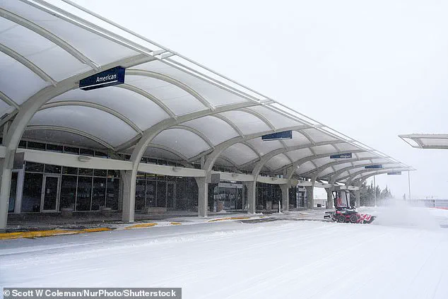 Government Directives in Response to Winter Storm Fern: Managing Crisis and Public Safety