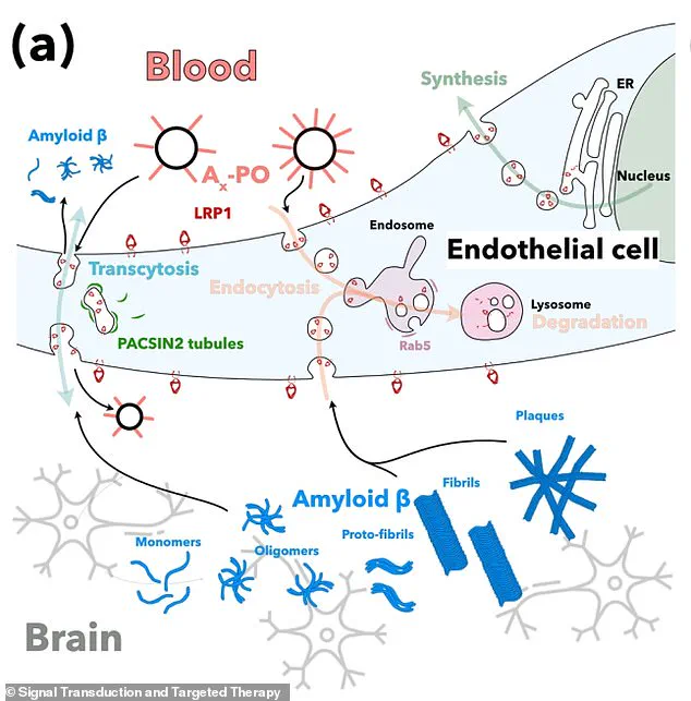 Groundbreaking Nanoparticle Treatment Reverses Alzheimer's in Mice, Sparking New Hope for Human Patients