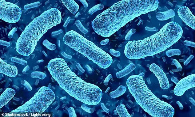 Health Officials Warn of Listeria Contamination in HelloFresh Meals, Urging Immediate Disposal Amid USDA Confirmation of Health Risks