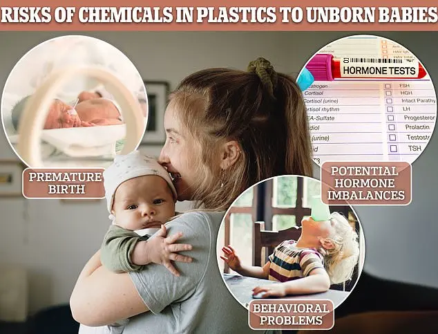Hidden Health Risks: Phthalates in Fast-Food Packaging Spark Urgent Calls for Action