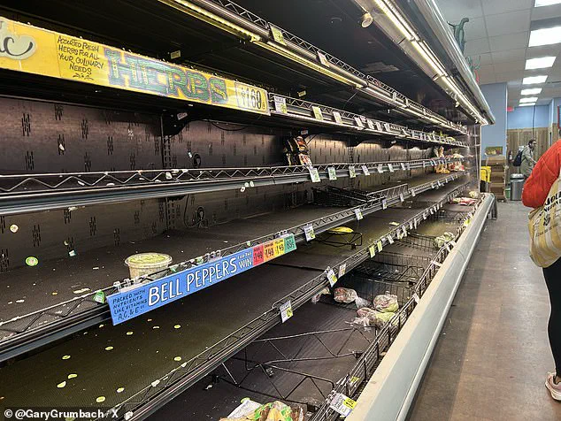 Historic Ice Storm Named Fern Sparks Nationwide Emergency, Threatening Millions with Power Outages and Infrastructure Damage