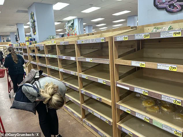 Historic Ice Storm Named Fern Sparks Nationwide Emergency, Threatening Millions with Power Outages and Infrastructure Damage