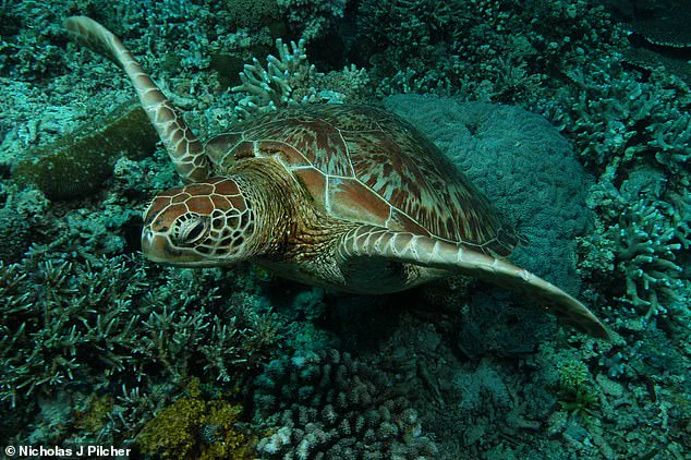 IUCN Warns of Accelerating Biodiversity Crisis as 48,646 Species Face Extinction, Including Arctic Seals