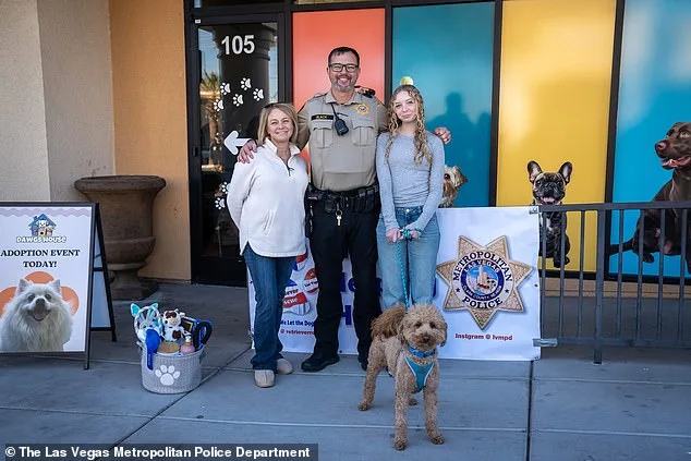 Jet Blue Dog Abandoned at Las Vegas Airport After Service Animal Dispute