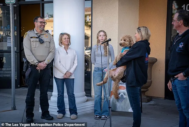 Jet Blue Dog Abandoned at Las Vegas Airport After Service Animal Dispute