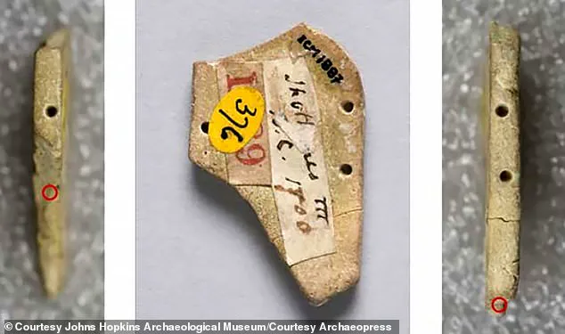 Late-Breaking: Tutankhamun's Necklace Fragment Sheds Light on Ancient Egyptian Elite Power Strategies