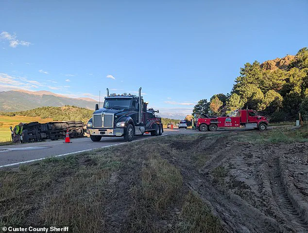Late-Night Colorado Crash Turns Into Sweet Corn Spill Surprise