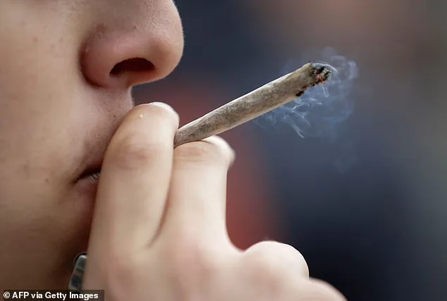 Moderate Cannabis Use Linked to Increased Brain Volume in Memory and Cognition Regions