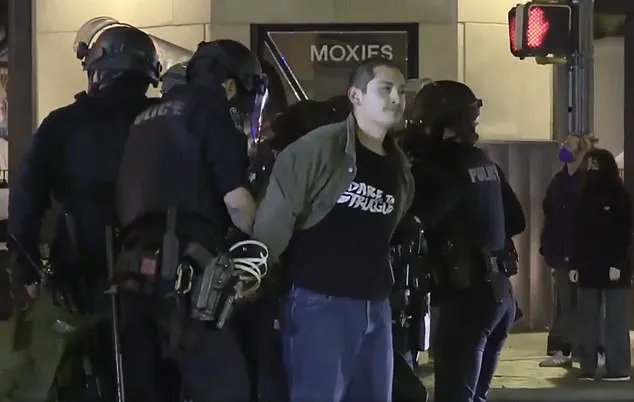 Nationwide Protests Erupt Over Fatal Shooting of Minnesota Activist by Federal Immigration Officer, Sparking Debate on Immigration Enforcement Tensions