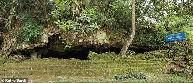 Oldest Rock Art Found in Indonesia Shakes Up Timeline of Human Creativity