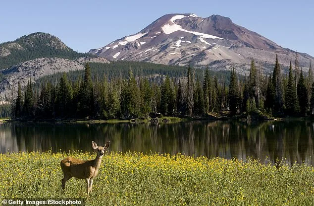 Oregon Faces a Pivotal Vote: Balancing Conservation and Tradition in the Debate Over Hunting and Fishing Bans