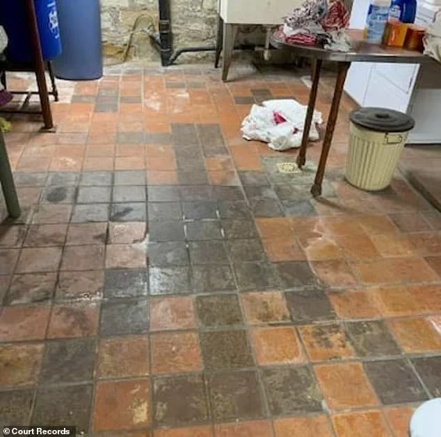 Pennsylvania Couple's Legal Battle Over Hidden Nazi Symbols in Their New Home