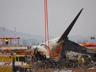 Pilot's Split-Second Decision Averts Disaster After Bird Strike During Elton John's Flight