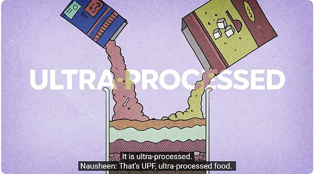 Privileged Insights: Emma Thompson's Campaign Exposes Hidden Flaws in UK School Meal Systems