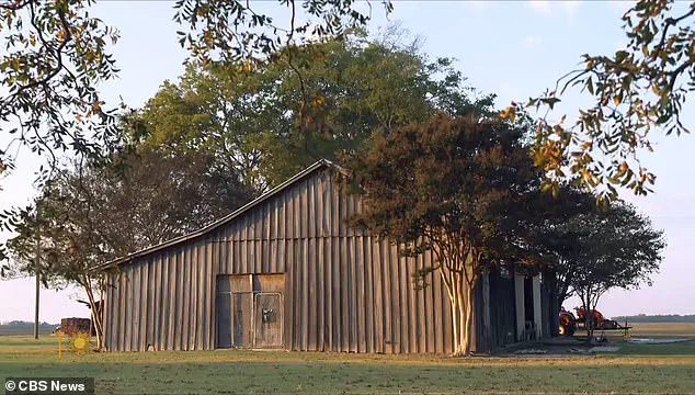 Race Against Time: Landmark Donation to Transform Emmett Till's Mississippi Barn into Sacred Memorial by 2030