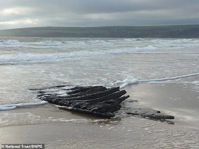 Race Against Time to Save 17th-Century Dutch Shipwreck Exposed by Storm